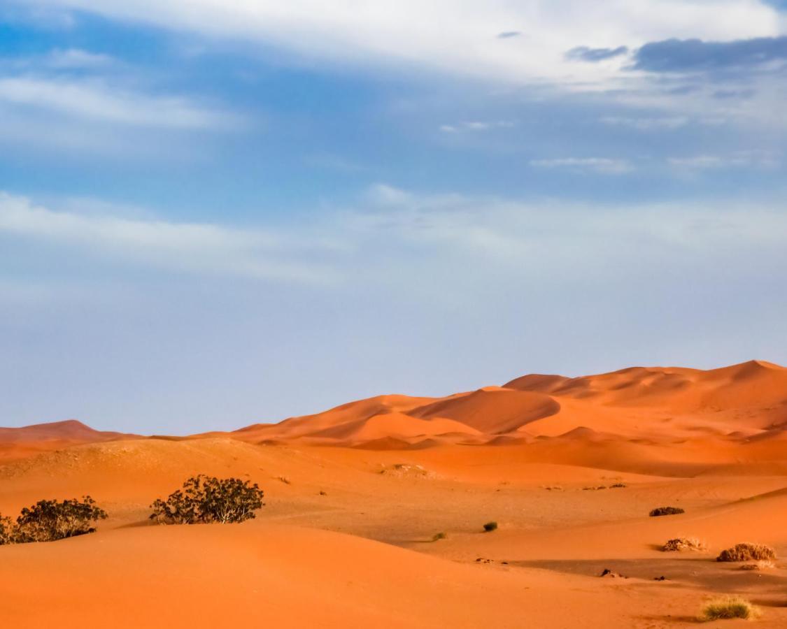 Desert Experience Glamping مرزوكة المظهر الخارجي الصورة