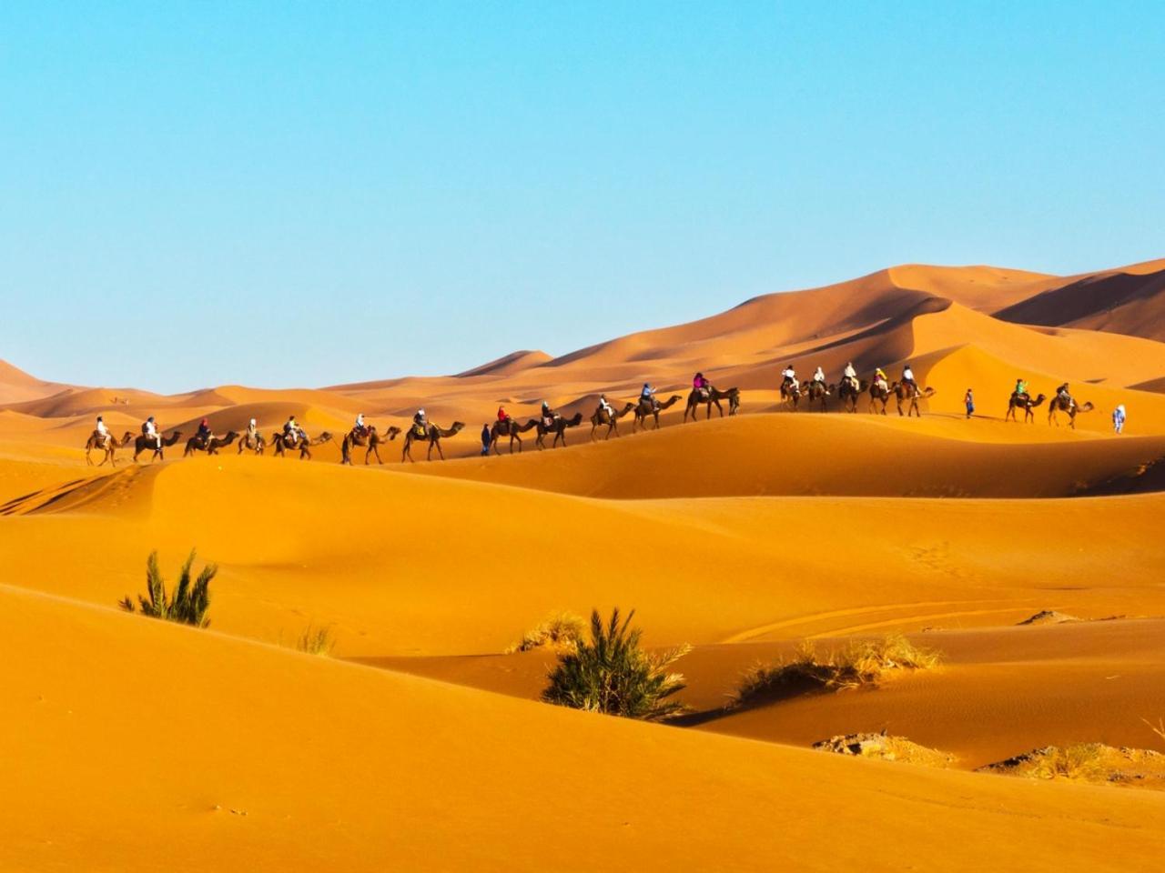 Desert Experience Glamping مرزوكة المظهر الخارجي الصورة