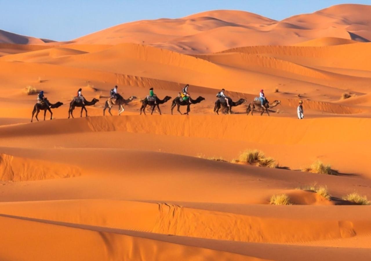 Desert Experience Glamping مرزوكة المظهر الخارجي الصورة