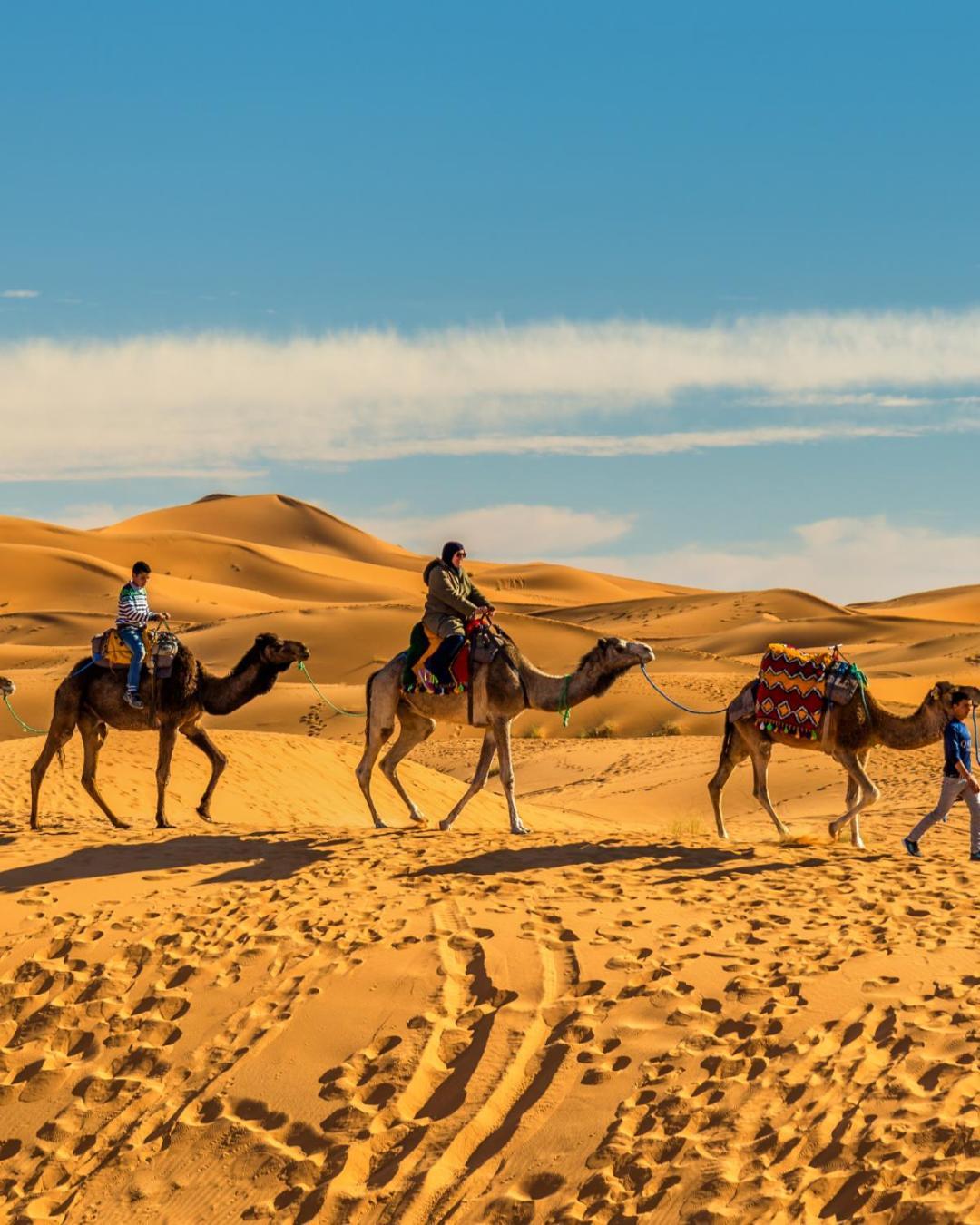 Desert Experience Glamping مرزوكة المظهر الخارجي الصورة