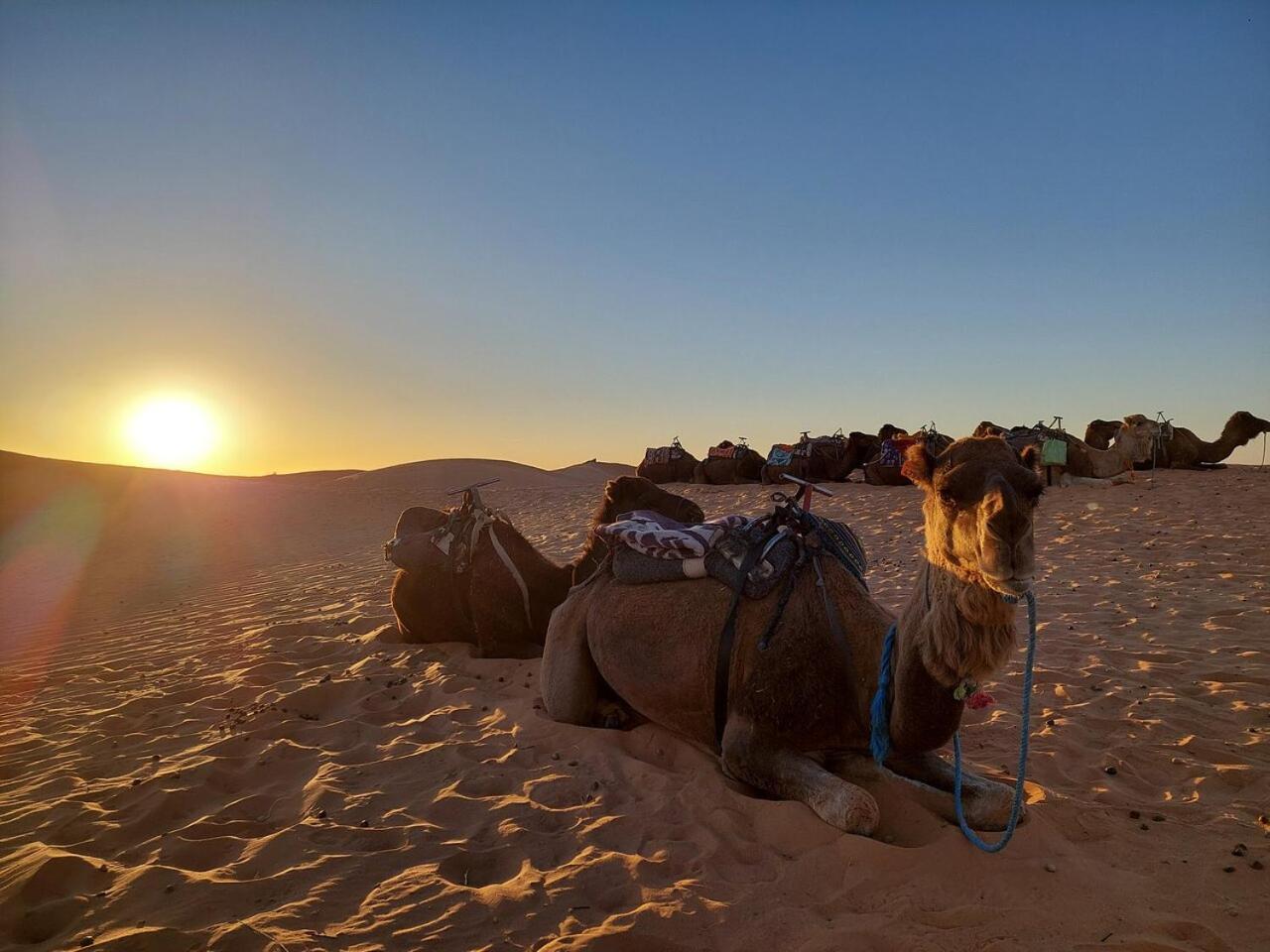 Desert Experience Glamping مرزوكة المظهر الخارجي الصورة